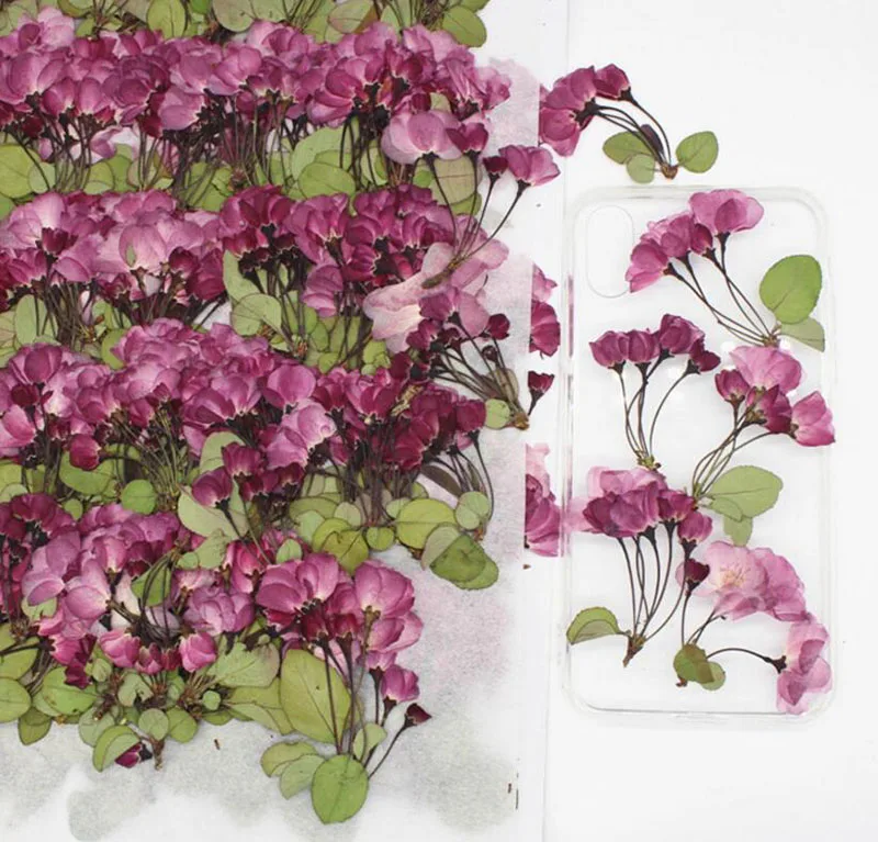 

30pcs Pressed Dried 4-6cm Multiple Sakura Flower Plant Herbarium For Jewelry Postcard Invitation Card Phone Case Bookmark DIY