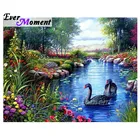Когда-нибудь момент алмазов картина ручной работы Лебединое озеро пейзаж цветок камни в форме ромба 5D DIY мозаичная картина, выполненная в технике алмазной вышивки Декор S2F2274