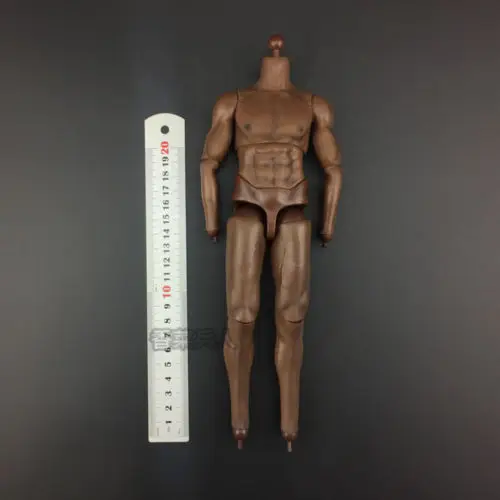 12 дюймов мужской сильные тела коричневый Цвет для 1/6 голова лепить|body 12|body 1/61/6 body |