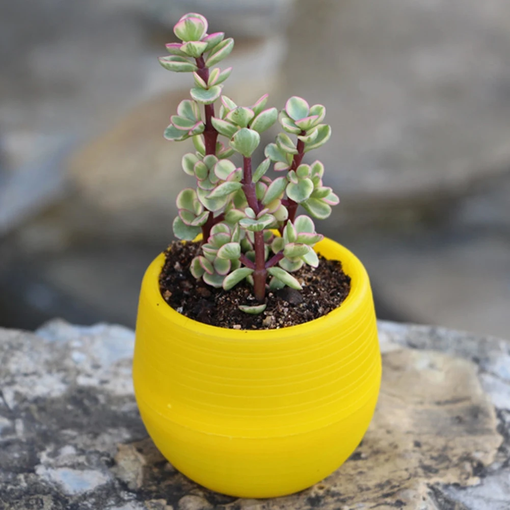 1 х мини круглый пластиковый горшок для мяса растений цветов украшение сада дома