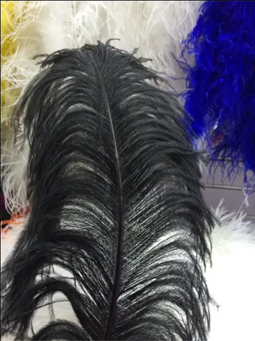 

New listing! 10pcs manufacturers selling a selection of Lake blue ostrich feathers 24 ~ 26 inches 60-65 cm wedding dress