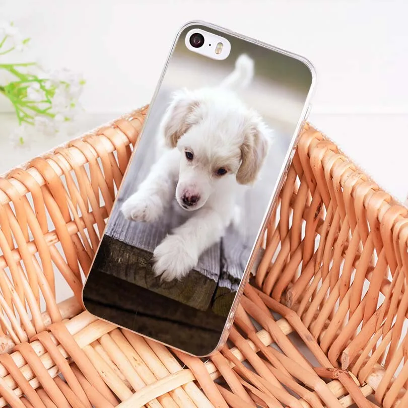 Мягкий чехол для телефона из ТПУ MaiYaCa с изображением щенка собаки игры сна iPhone 8 7 6