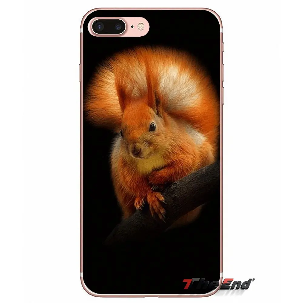 Силиконовый чехол для iPhone X 4 4S 5 5S 5C SE 6 6S 7 8 Plus Samsung Galaxy J1 J3 J5 J7 A3 A5 2016 2017 Red Squirrel Sciurus