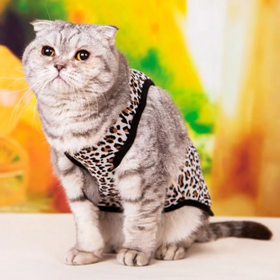 Костюмы костюм для Товары собак милого кота поставки Животные футболка домашних