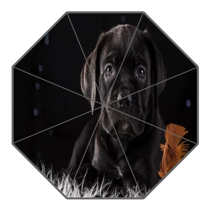 17 Custom Cane Corso Dog Umbrellas Polyester Fabric High Quality Sunny And Rainy Umbrella Non-Automatic Umbrella For Adults - Цвет: 17