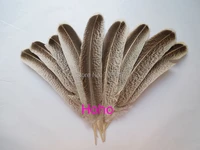 plumes 30pcslot 20 30cm long wild turkey wing feathersnatural grey round wild turkey feather quillsfeathers fecoration
