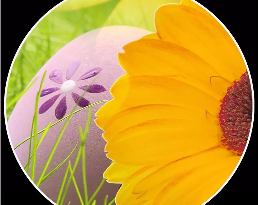 

Custom mural 3d photo wallpaper Sunflower butterfly home decor painting 3d wall murals wallpaper for living room walls 3 d