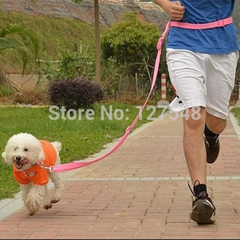 Регулируемый поводок для собак 7 цветов бега пеших прогулок бега|dog lead|hands free leashleash