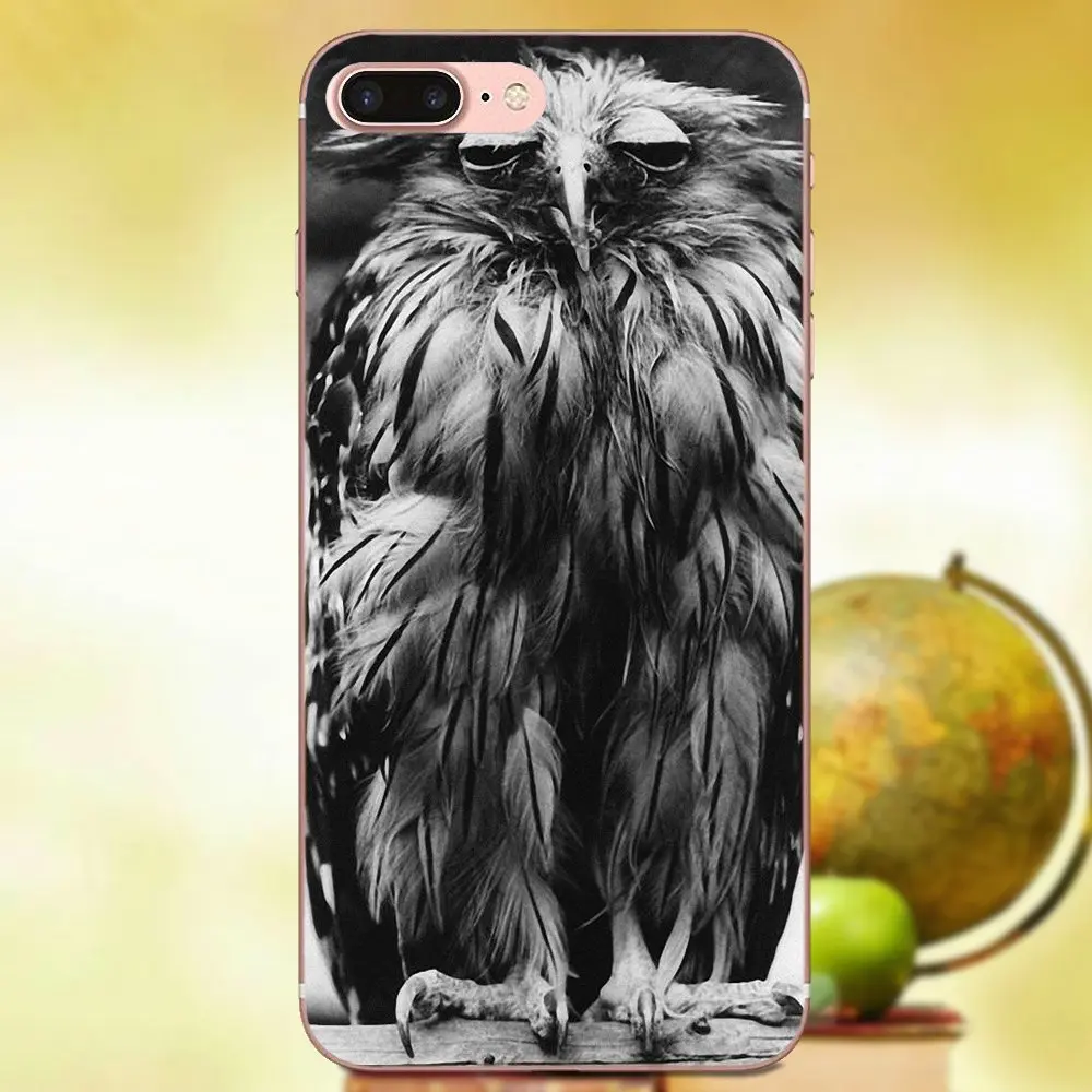 High Quality Owl On Mint TPU Hipster Case For Huawei Mate 7 8 9 10 P7 P8 P9 P10 P20 Lite Plus Pro GR5 P Smart 2017 | Мобильные