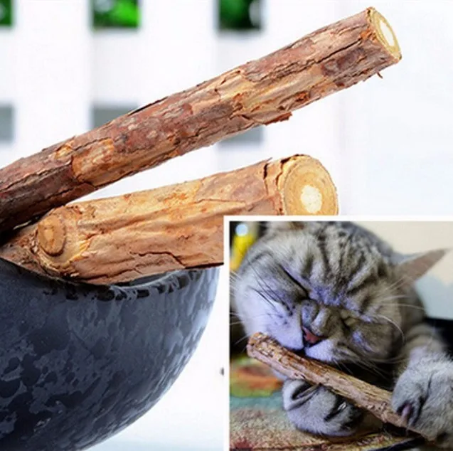 

5Pcs Cat cleaning teeth Pure natural catnip cat molar Toothpaste stick silvervine actinidia fruit Matatabi cat snacks sticks