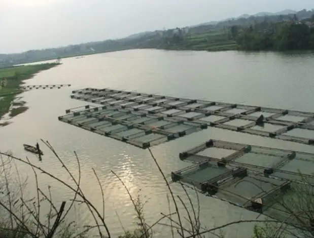 

aquaculture cages used for Aquatic plants, kelp, fish, insects, crab culture Breeding net Fishing nets