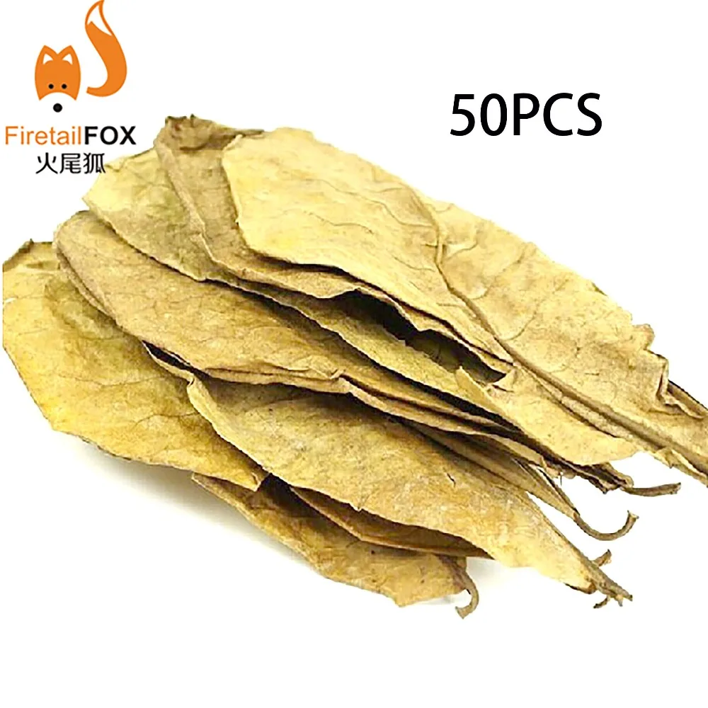 

50pcs Grade A Natural Terminalia Catappa Foetida Leaves fish Cleaning/Treatment aquarium Tank water filter