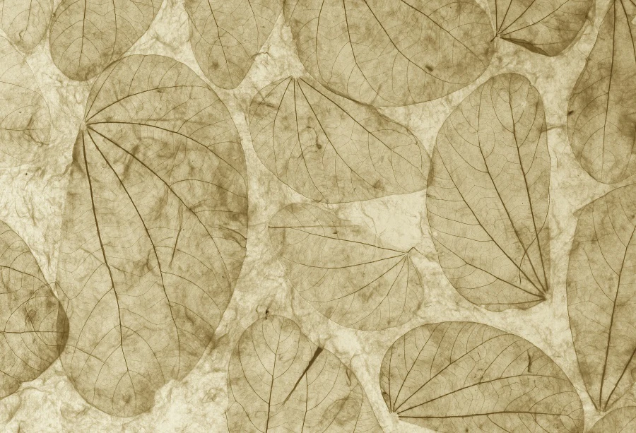 Laeacco Vinyl Backdrops For Photography Fallen Leaves Old Vintage Style Pattern Texture Wallpaper Photo Backgrounds Photocall |