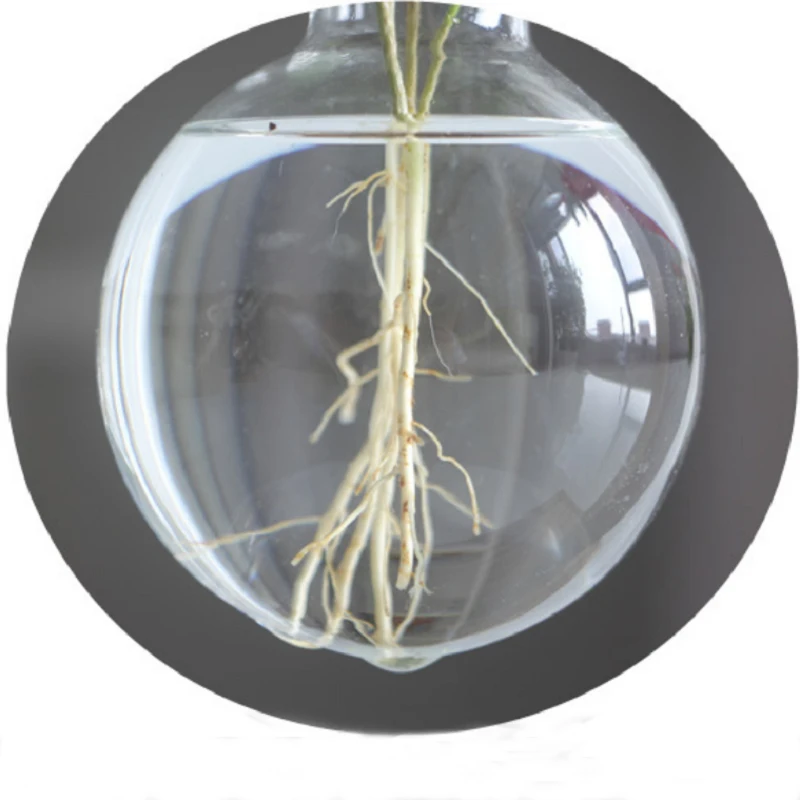 Креативная стеклянная ваза для бутылки гидропонное растение прозрачные