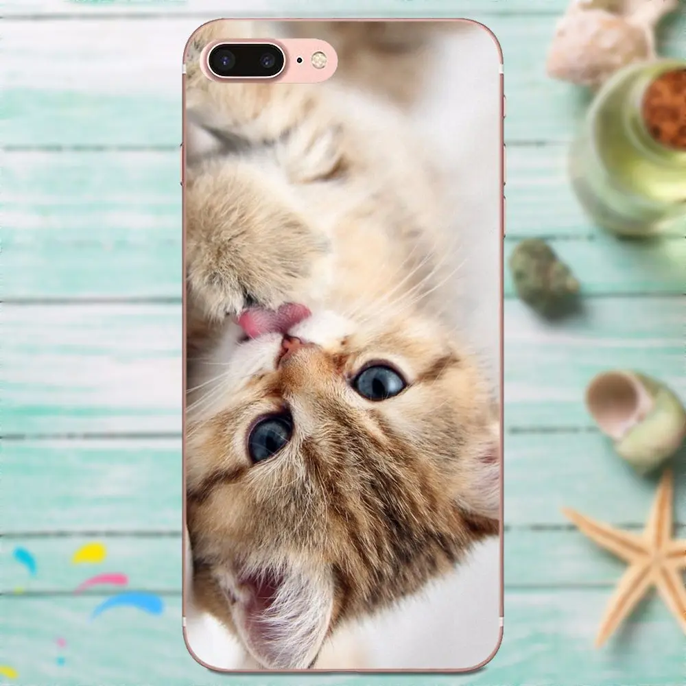 Мягкий хипстерский чехол 2019 новые милые кошки для Huawei P8 P9 P10 P20 P30 Mate 7 8 9 10 20 Lite Plus Pro