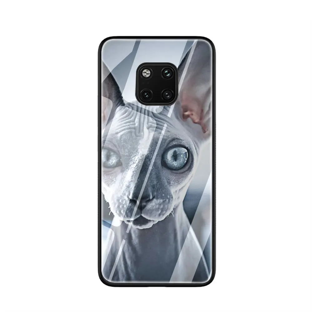 Чехол для телефона из закаленного стекла sphynx cat Huawei Mate P 10 20 30 Lite Pro Y9 Honor 8X 7A|Бамперы|