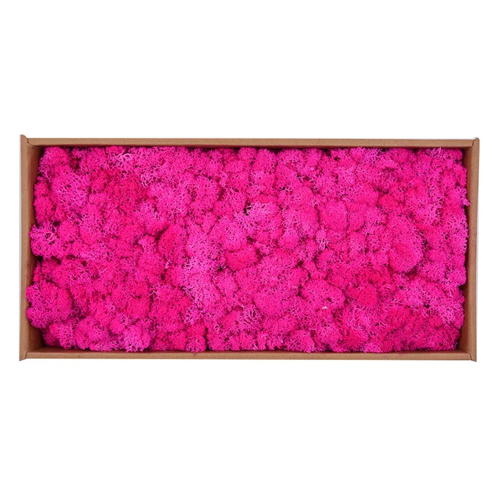 Rose Red Красивые 500 г/кор. цветы из мха, долго сохраняющиеся сушеные цветы для рукоделия, домашний декор для свадебной вечеринки XH8Z JA11 - Цвет: Rose Red
