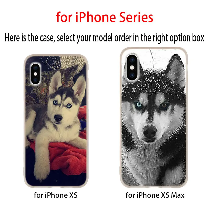 Самоед мягкий чехол для iPhone 12 11 Pro X XS Max XR 8 7 6 Plus 5s SE 2020 S 1 мини Чехол|Бамперы| |