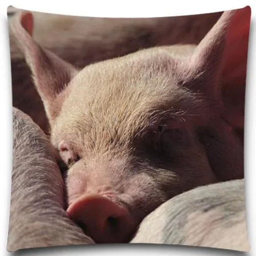 Голубое небо корова и луг квадратная наволочка мягкий материал для детей девочка