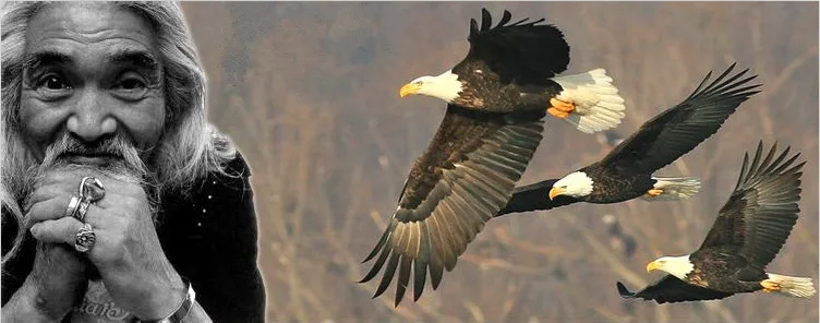 Мини-тег Golden Eagle и украшения в виде солнца для Цепочки и ожерелья Браслет чистого твердого серебра 925 Винтаж ювелирные изделия в индийском стиле подвески