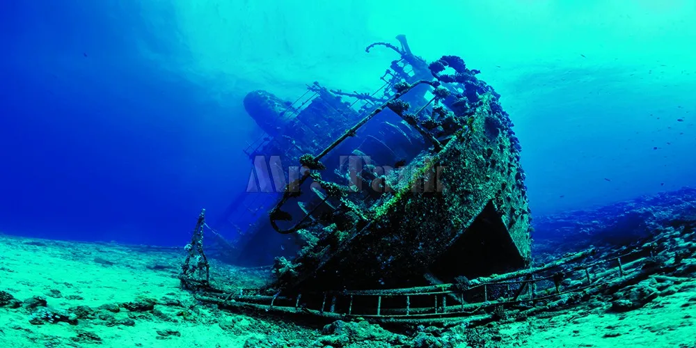 Custom Aquarium Background Poster - Self-Adhesive Creative PVC Fish Tank Wallpaper with Large Shipwreck Ornament - Available in 24, 30, 48, and 72 Inches image 2