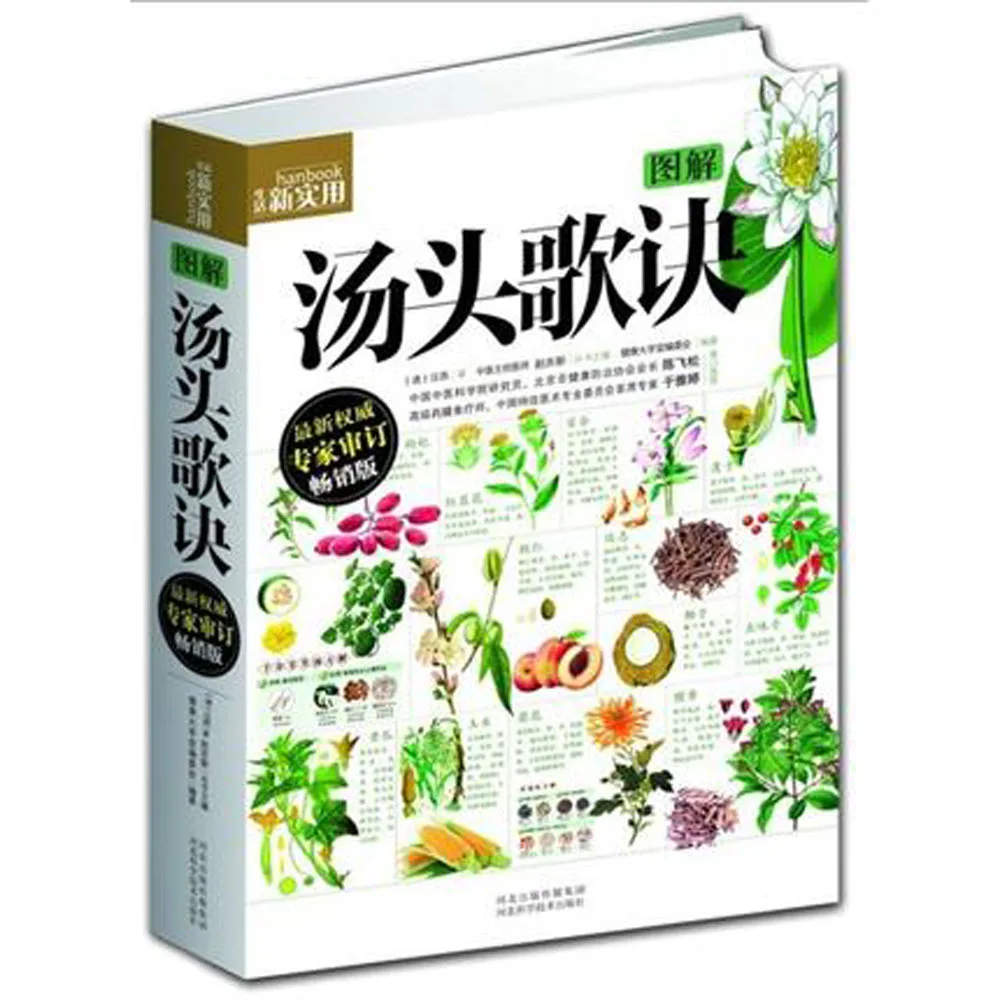 Китайская ежедневная практическая медицинская книга: Tangtou Gejue рецепты в рифмах с
