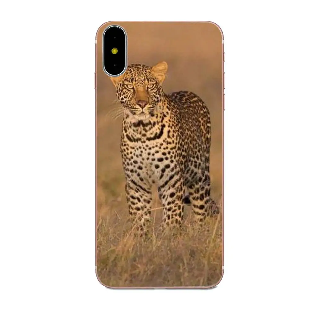 Новый Модный чехол с милыми животными для телефона Xiaomi Redmi Mi Note 7 8 9 SE Pro Lite Go