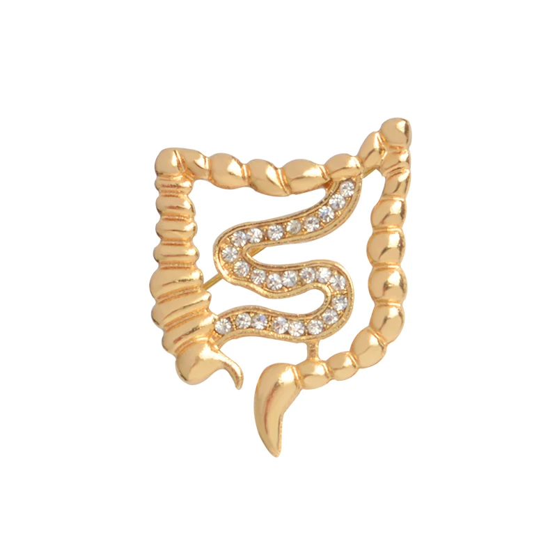 Intestines-gold Медицинские ювелирные изделия Пульс скальпель рефлекс молоток шприц измеритель артериального давления скорая помощь желудка кишки брошь булавки значки - Окраска металла: Intestines-gold