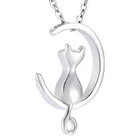 Держатель для памяти MiniCremation, ожерелье для домашних животных, кошек, кремации, пепел, медальон, памятный кулон, урна для запоминания