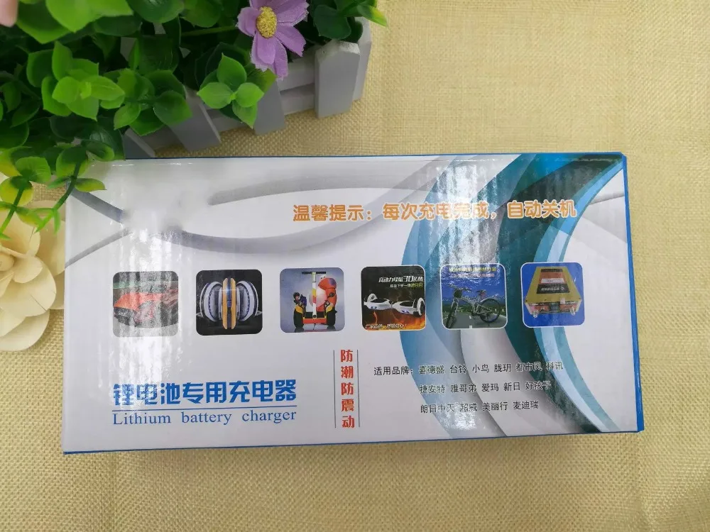 48V 2A 13S bike modification/electric/scooter lithium battery charger 36V 10S Polymer +Free shipping | Электроника