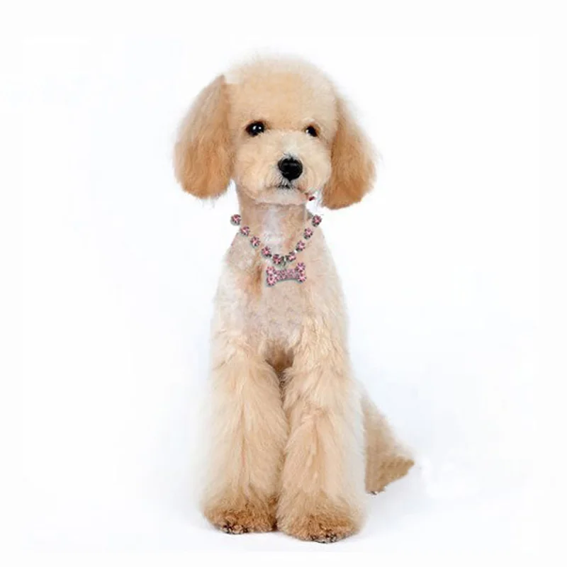 Модные ювелирные изделия ошейник для щенка собаки кошки дизайнерское украшение