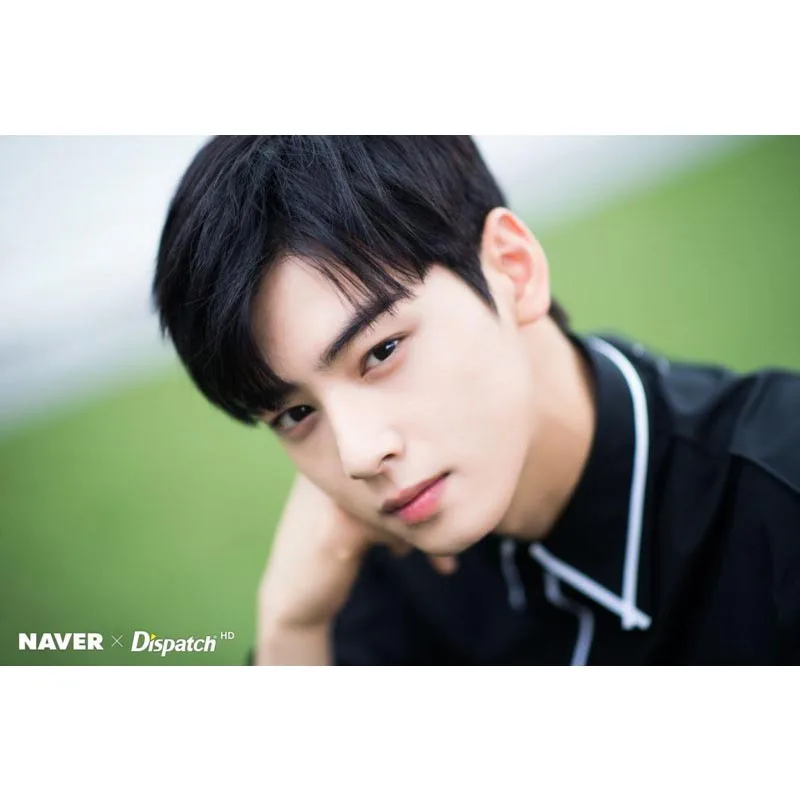 7 Горячая Cha EunWoo домашний Декор Ретро классический винтажный фильм плакат печать больше размеров на заказ Шелковый плакат и принты - Цвет: 7