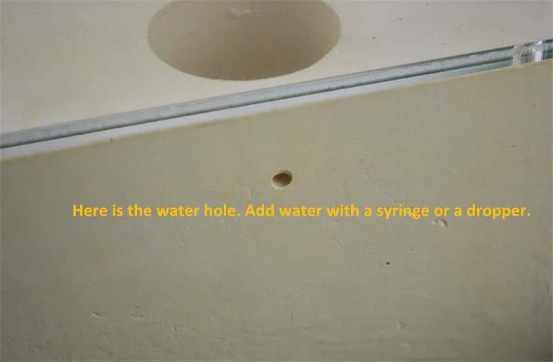 Formicarium разработан с муравьями в виду этого прочного гипса и акрилового гнезда