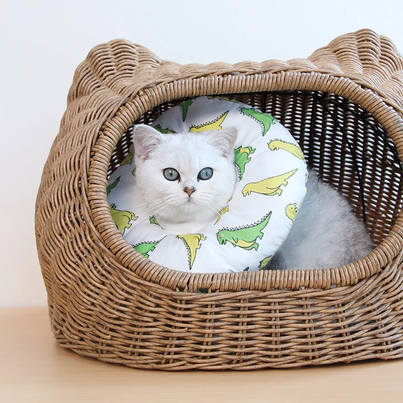 Pet Елизаветы рубашка с принтом котами и воротником рана восстановления исцеления