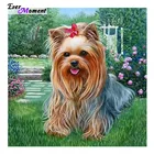 5D алмазная живопись, вышивка крестиком, цветной спаниель, алмазная вышивка, 3D квадратные алмазы, животные, собака, Украшение 50x50 см, ASF044