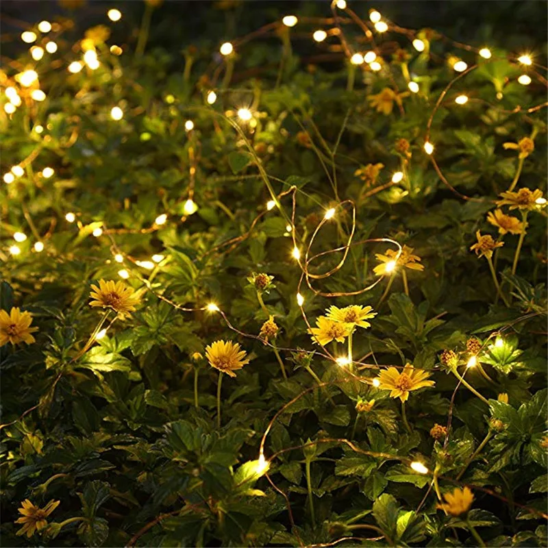 

SICCSAEE Copper Wire LED String Lights 10m 20m 30m 50m LED Outdoor Christmas Fairy Lights Warm White Starry Light + DC Adapter
