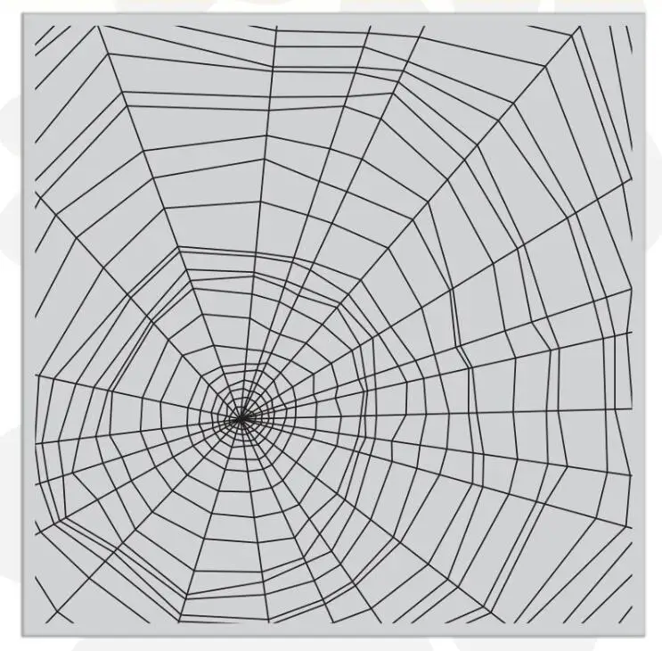 Spider веб фон прозрачные штампы/Силиконовые печати для DIY Скрапбукинг фото