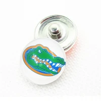 20pcslot university of florida snap buttons for 18mm us sports teams snap braceletbangles diy snap jewelry charms
