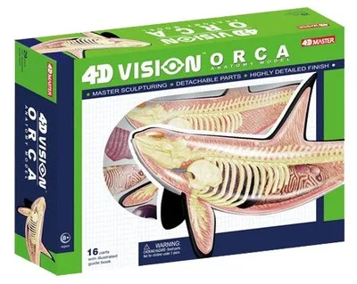 4D master модель анатомии животных детская игрушка для обучения вставленным китам