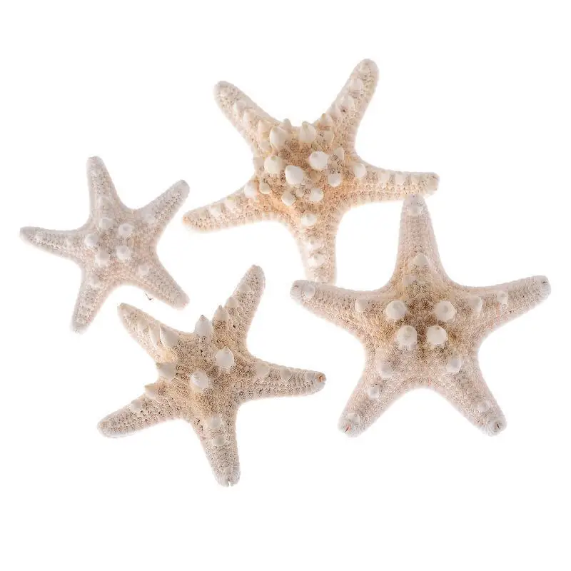 Элегантные настоящие зажимы для волос в форме морской звезды заколки пляжа