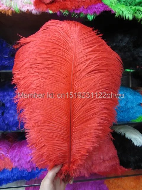 

Promotional price 50pcs14-16 inches / 35-40cm red ostrich feathers for large weddings and parties, decorations free shipping