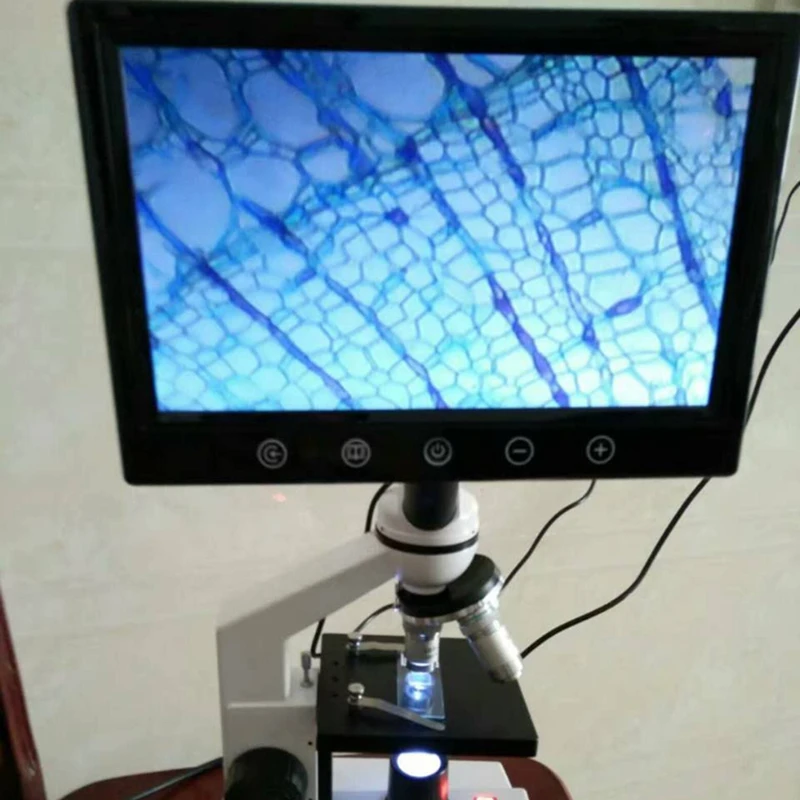 ЖК-дисплей HD 5 7 9 дюймов с WF10X окуляр для стерео или биологического микроскопа