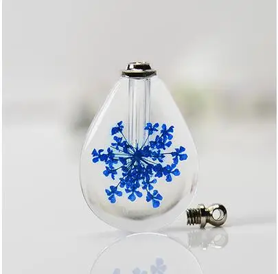 1 шт./лот смешанный цвет натуральный сушеный флакон с подвеской креативный для