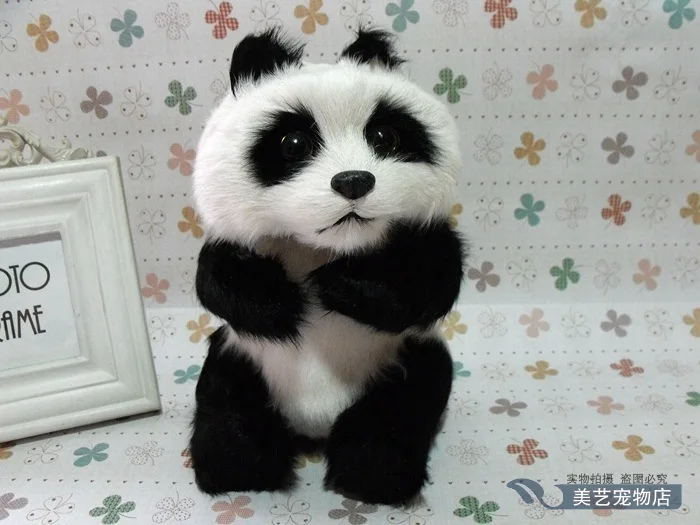 

Simulation panda polyethylene&furs panda model funny gift about 16cmx14cmx22cm