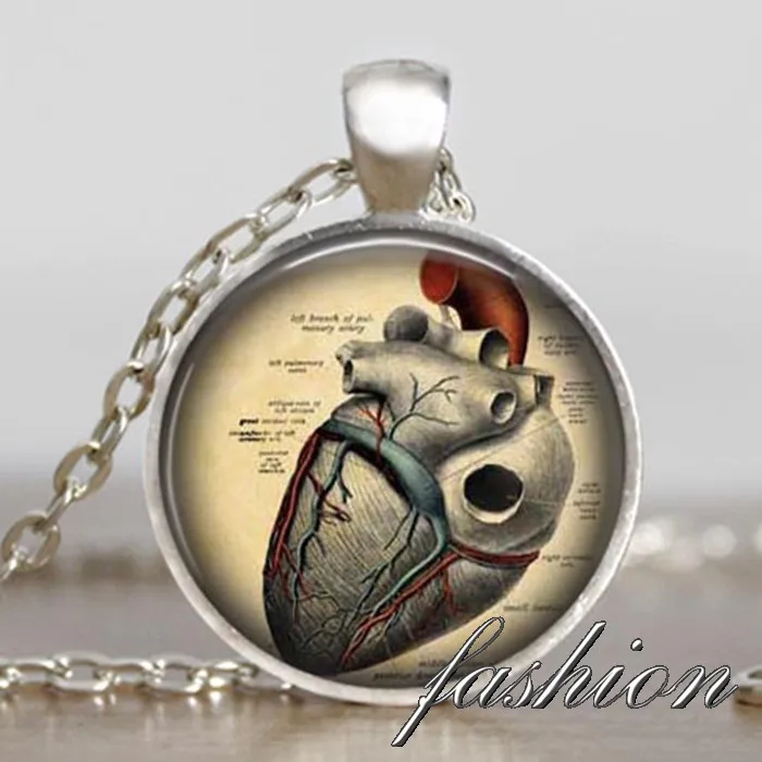Анатомическое Сердце ожерелье стимпанк готический науки кулон биологии сердце