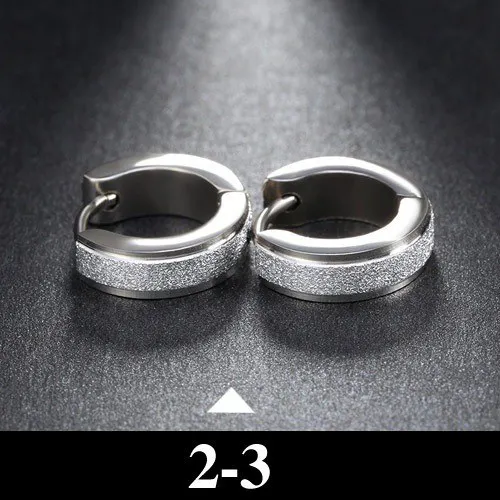 Earrings 2-3 Матовые поверхности женские серьги из нержавеющей стали ювелирные изделия Brincos минималистичные Роскошные ювелирные изделия серьги с цирконием кубической огранки - Окраска металла: Earrings 2-3