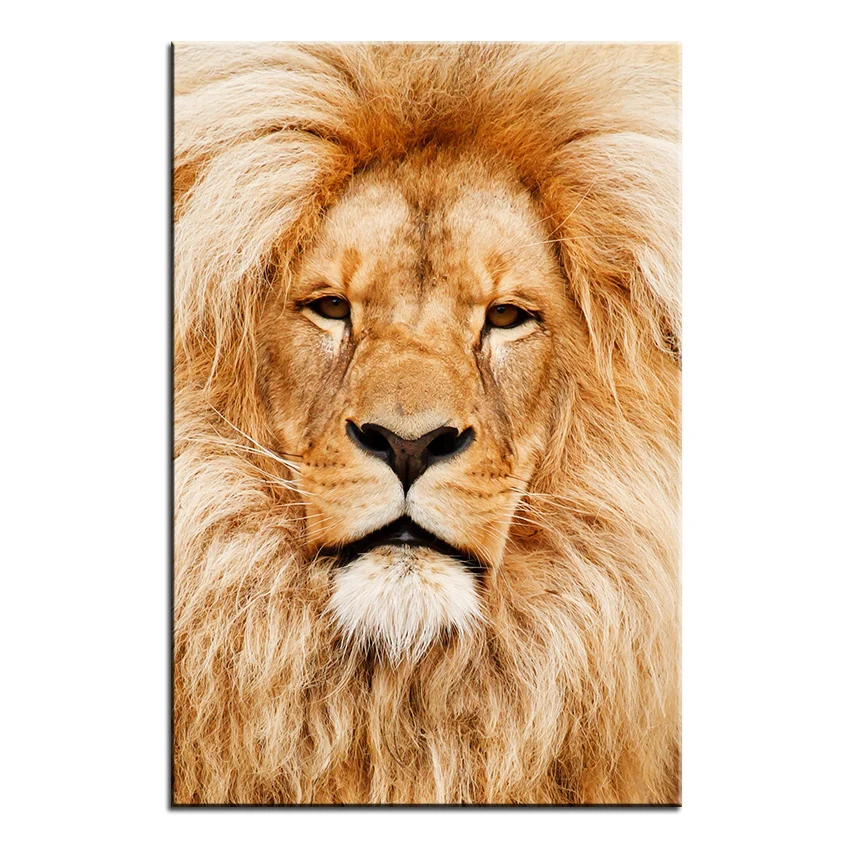 Большой размер Печать Картина маслом Африканские животные кошка настенная