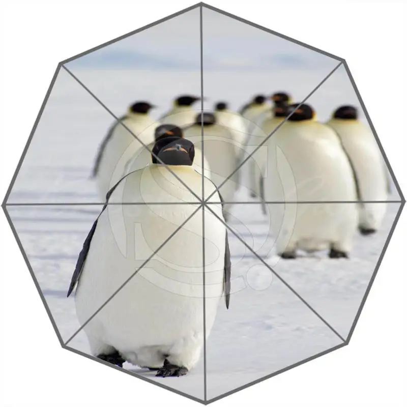 Hot Sale Cool Cute penguins Adults Universal Design Fashion Foldable Sun and Rain Umbrella Free Shipping SQ0602-P98 | Дом и сад
