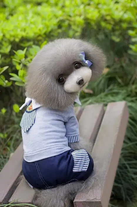 New Summer Dogs Clothing Cute Pet Pants school uniform Free Shipping By China Post whole sale | Дом и сад