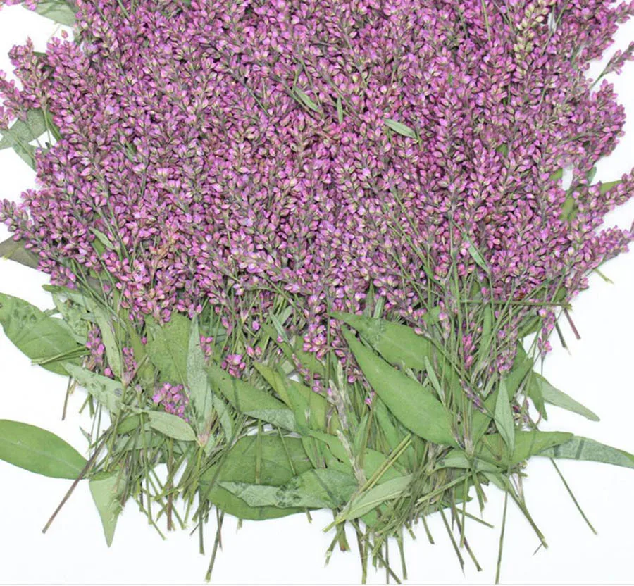 120 шт. прессованный высушенный полигональный гидропайпер Цветочная гербарий из